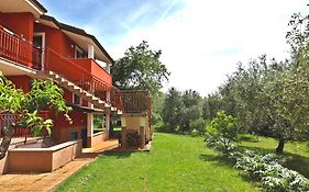 Apartman Zita